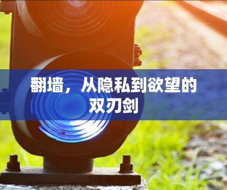 翻墙,从隐私到欲望的双刃剑 翻墙,从隐私到欲望的双刃剑