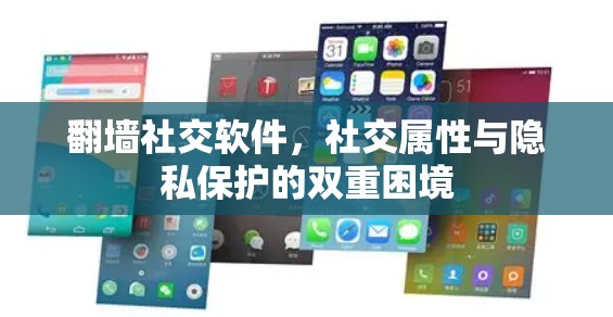 翻墙社交软件，社交属性与隐私保护的双重困境
