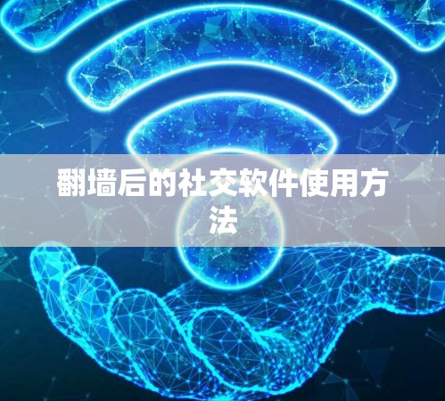 翻墙后的社交软件使用方法