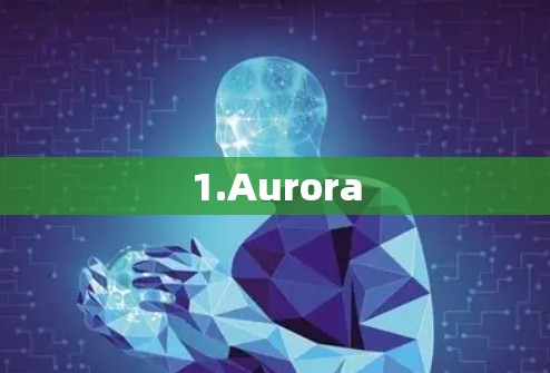 1.Aurora