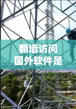 翻墙访问国外软件是一个复杂而重要的过程，需要综合考虑技术、安全和隐私等多个方面。以下是详细的步骤指南